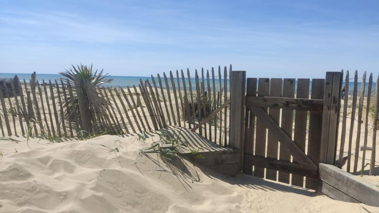 Appartement T2 Lacanau Ocean Екстериор снимка